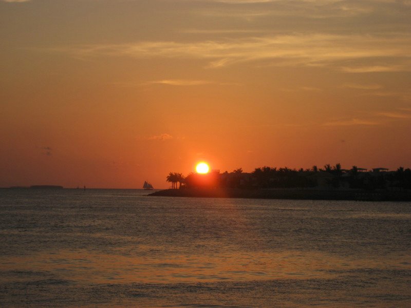 IMG_4274_1.JPG