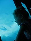 IMG_4132_1.JPG