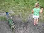 IMG_4458_1.JPG