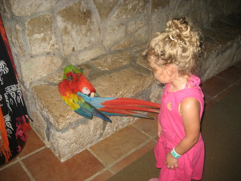 IMG_8165_1.JPG