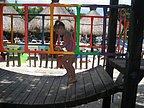 IMG_8054_1.JPG