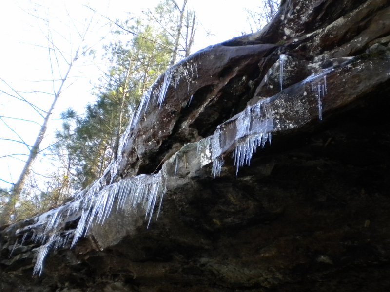 DSCN6328.JPG