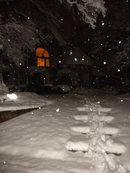 DSCN7420.JPG