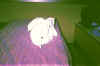 021_18A.JPG (48434 bytes)