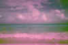 005_2B.JPG (54961 bytes)