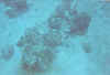 4753.15.jpg (30605 bytes)