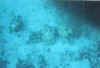 4753.22.jpg (25682 bytes)