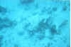 4753.24.jpg (28381 bytes)
