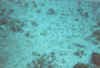 4756.14a.jpg (37178 bytes)